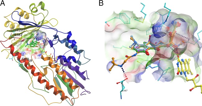 FIG 1