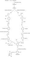 Fig. 1