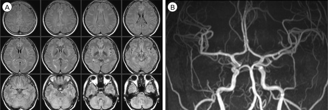 Fig. 9