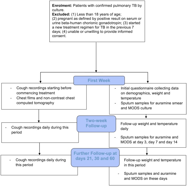 Figure 1