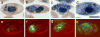 Fig. 3
