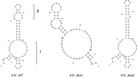 Fig. 8.