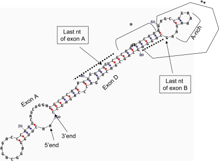 Fig. 10.