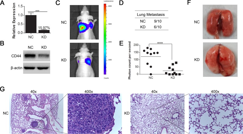 Fig.4