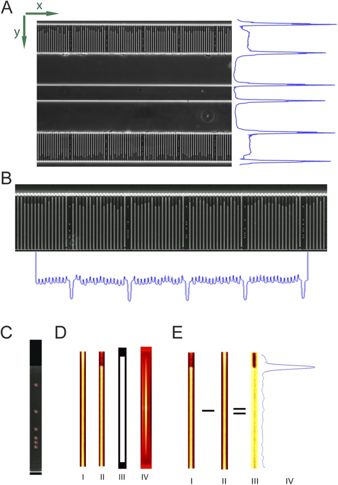 Fig. S7.