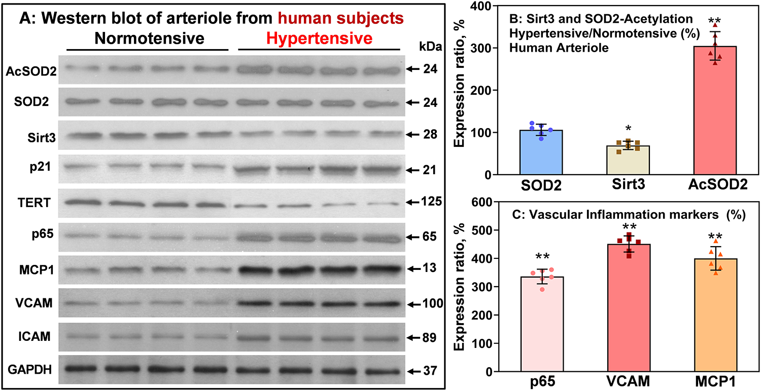 Figure 7: