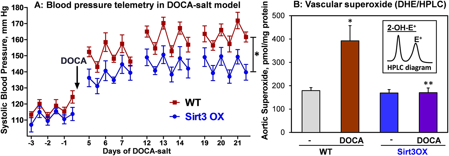 Figure 2: