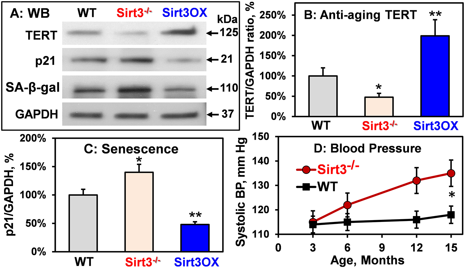 Figure 6: