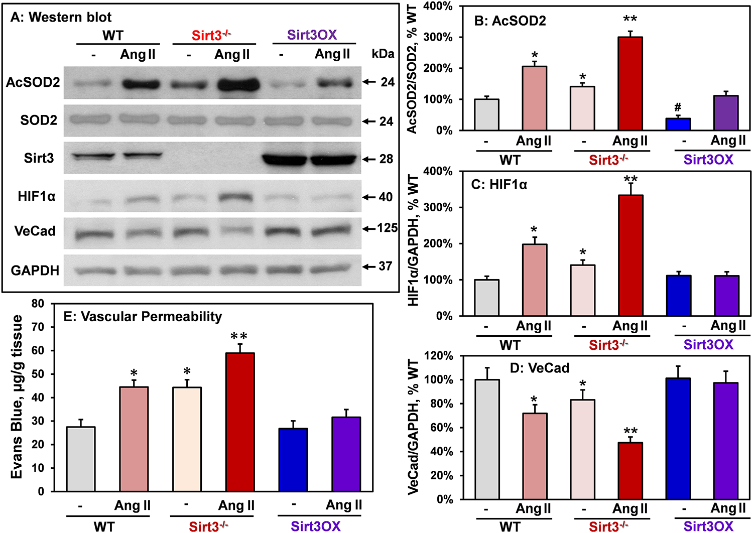 Figure 4: