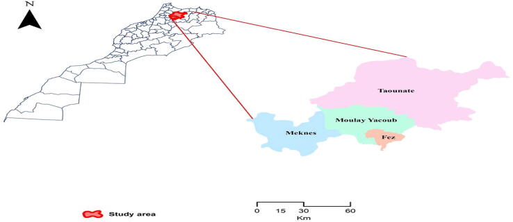 Fig. 1