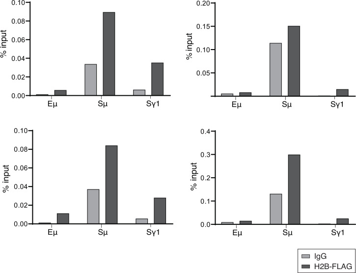 Figure 4—figure supplement 1.