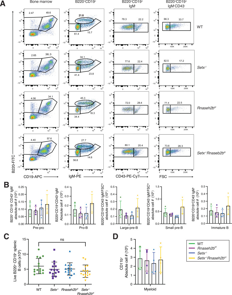 Figure 3—figure supplement 1.