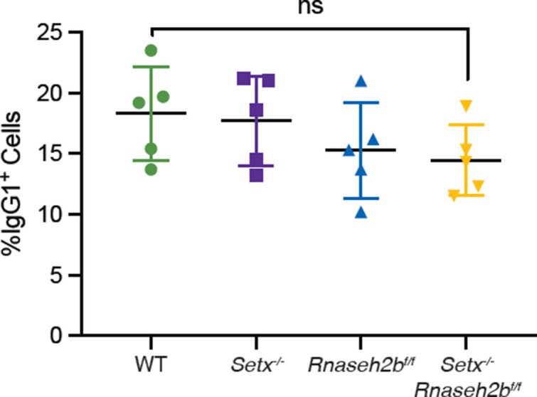 Figure 2—figure supplement 1.