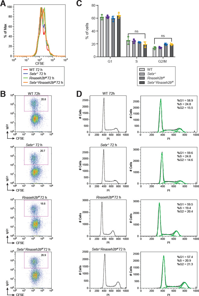 Figure 3—figure supplement 3.