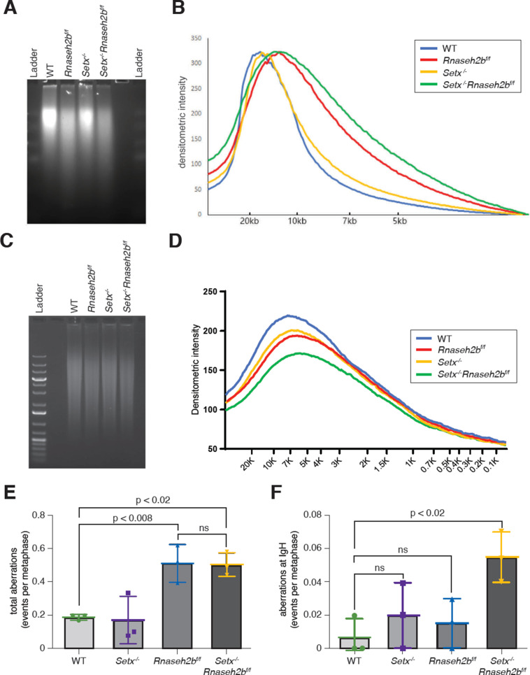 Figure 3—figure supplement 2.