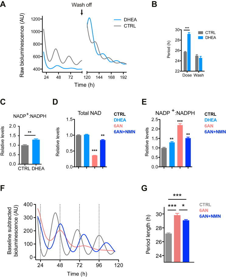 Figure 2