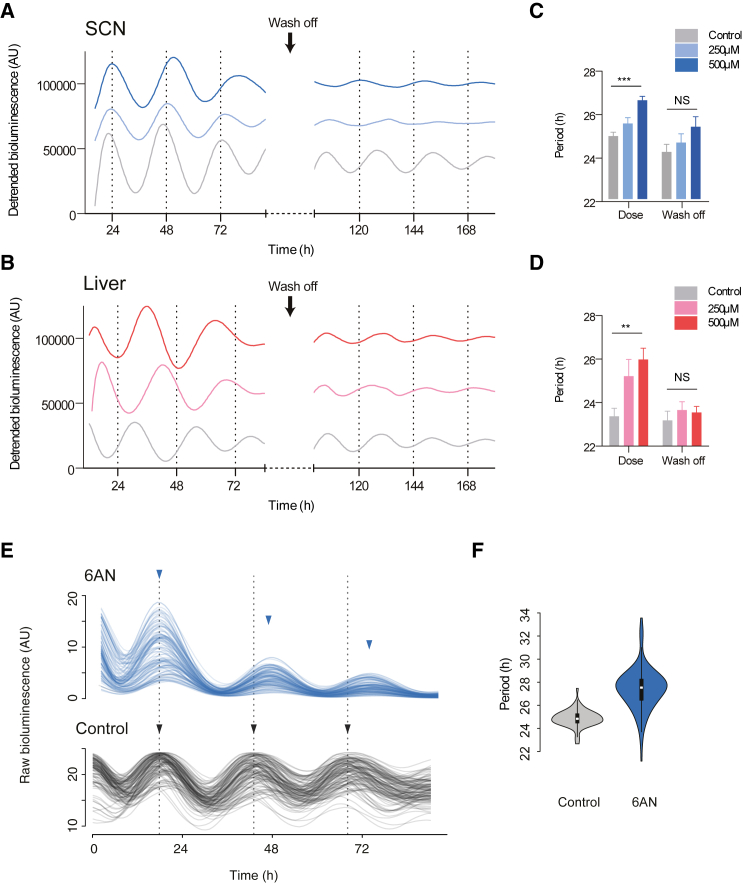 Figure 6