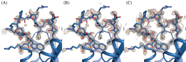 FIGURE 3