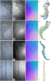 Figure 16