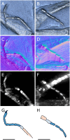 Figure 26