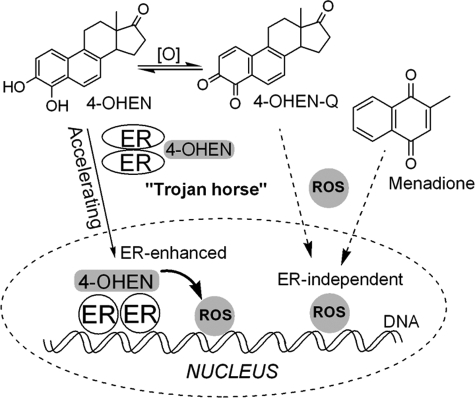 SCHEME 2.