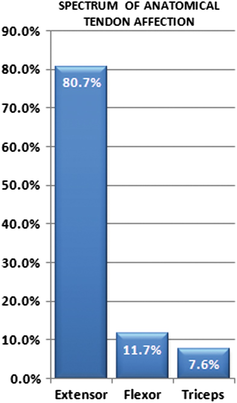 Fig. 7