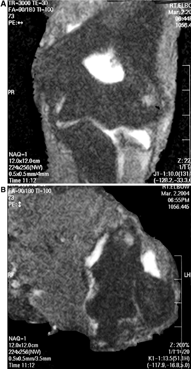 Fig. 8