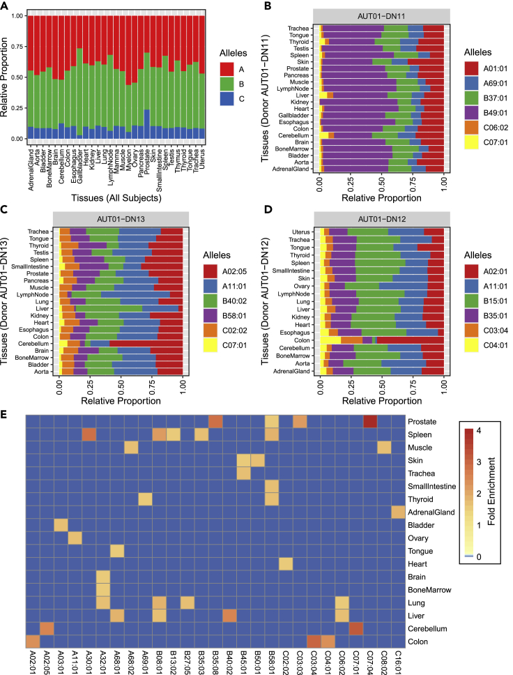 Figure 2