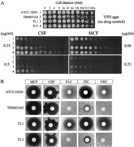 FIG. 2.