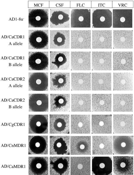 FIG. 3.