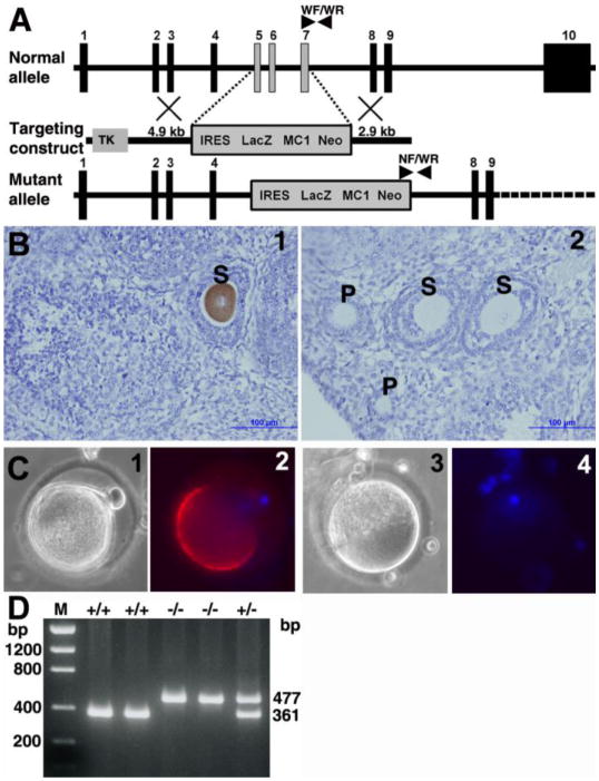 Figure 11