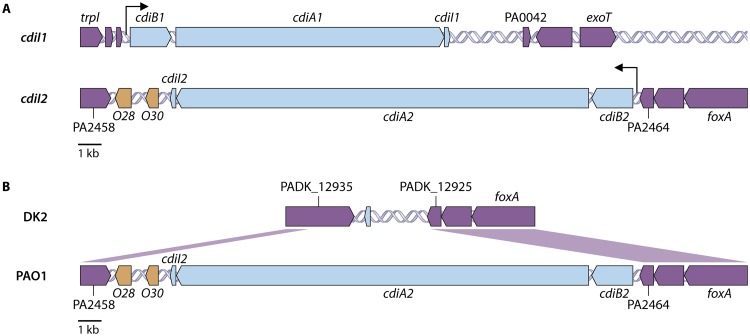 FIG 2