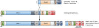 FIG 7