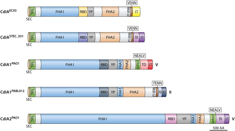 FIG 3