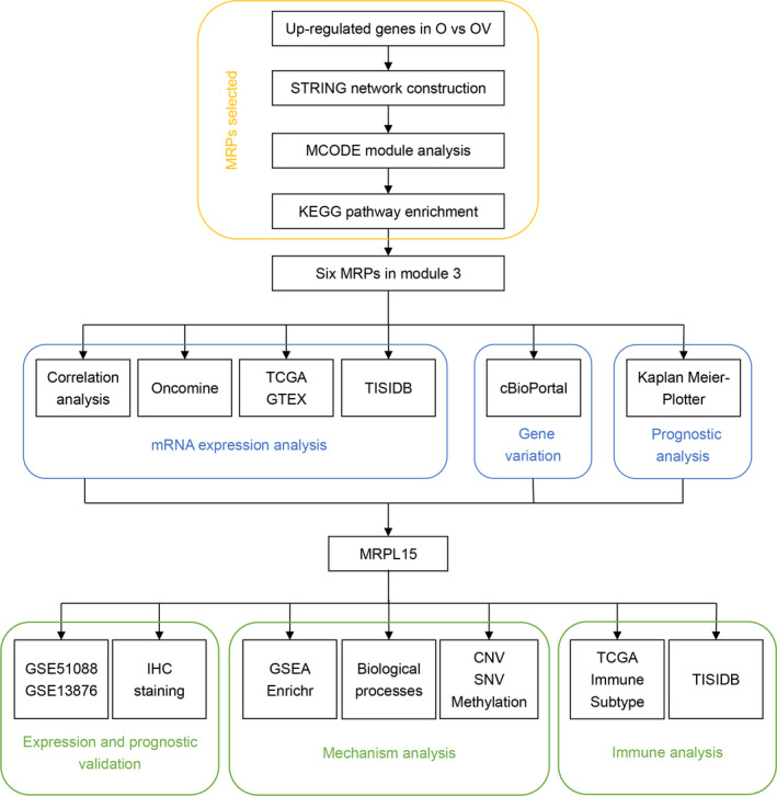 FIGURE 1