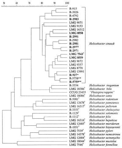 FIG. 1