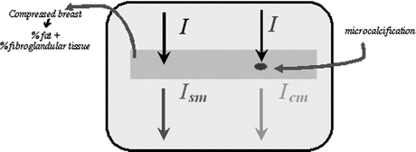 Fig 1