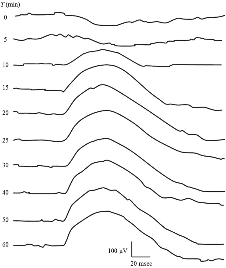 Fig. 1.