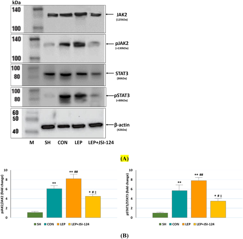 Figure 5