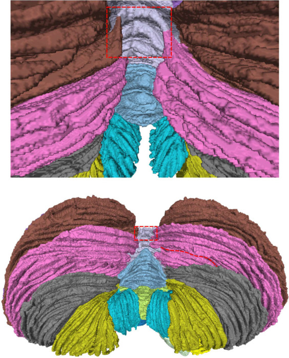 Appendix Figure 1.