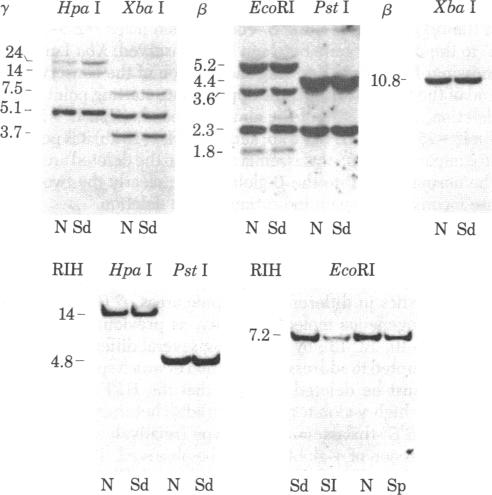 graphic file with name pnas00446-0219-a.jpg