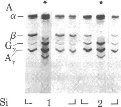 graphic file with name pnas00446-0218-a.jpg