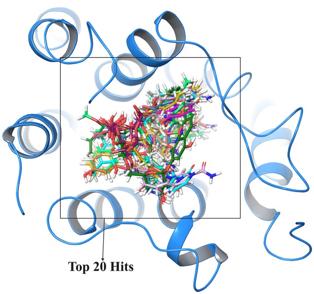 Figure 4