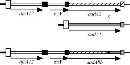 FIG. 2.