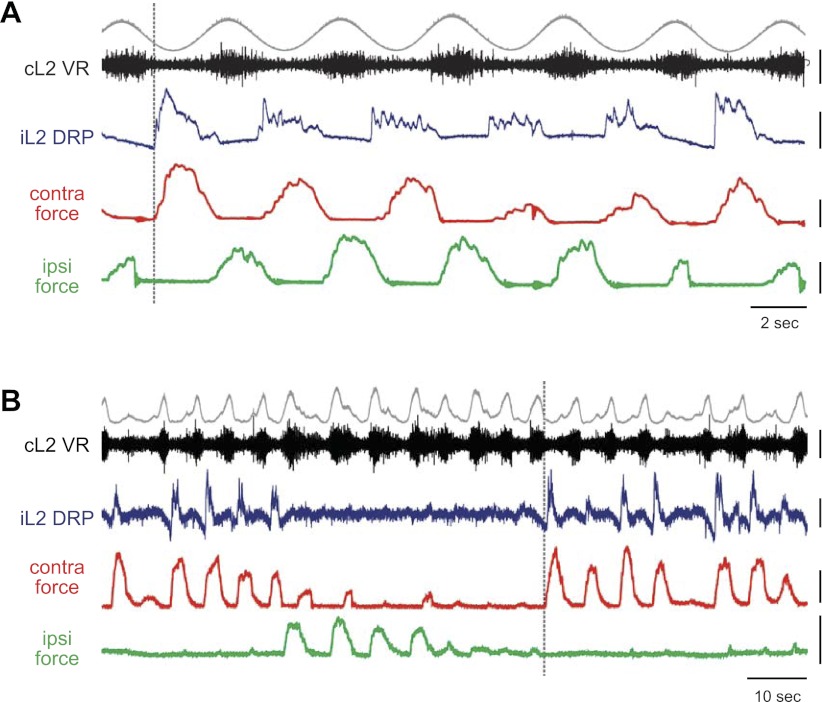 Fig. 3.