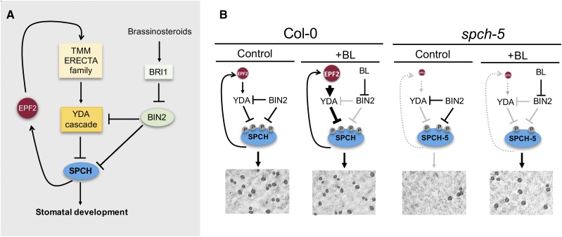 Figure 9.