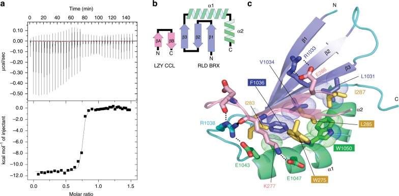 Fig. 4