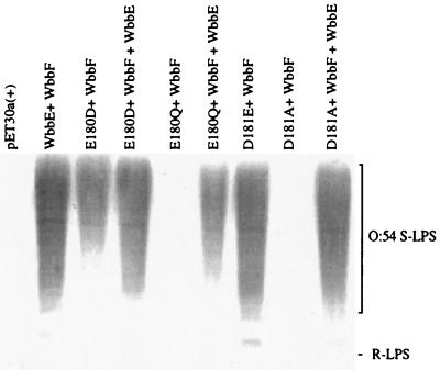 FIG. 5