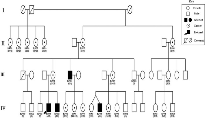 FIGURE 1