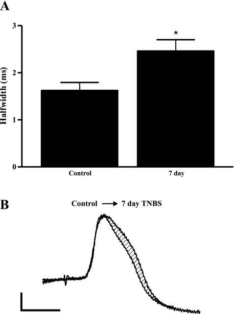 Fig. 5.